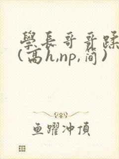 学长哥哥蹂躏你(高h,np,简)