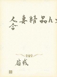 人妻精品h文综合