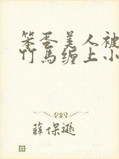 笨蛋美人被两个竹马缠上小说免费阅