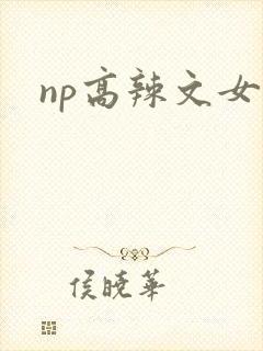 np高辣文女封面