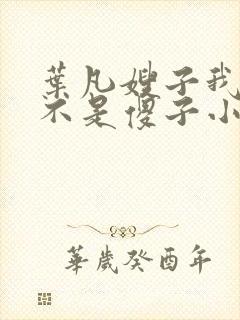 叶凡嫂子我真的不是傻子小说