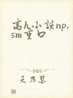 高h小说np,sm重口
