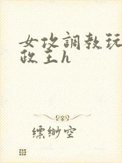 女攻调教玩弄摄政王h