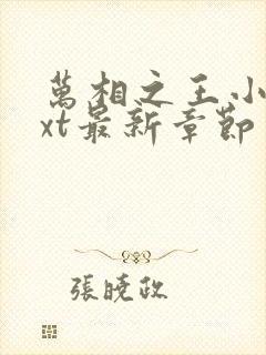 万相之王小说txt最新章节