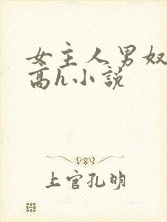女主人男奴调教高h小说