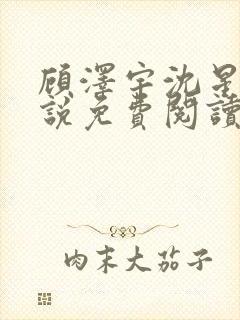 顾泽宇沈星晚小说免费阅读最新章节