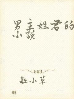 男主姓君的现代小说