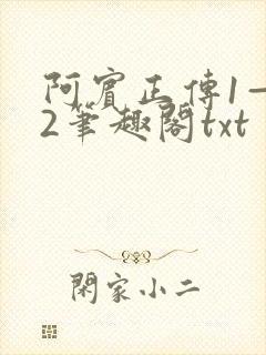 阿宾正传1—72笔趣阁txt