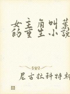 女主角叫叶凌月的重生小说