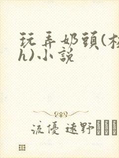 玩弄奶头(校园h)小说