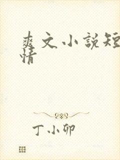 爽文小说短篇言情