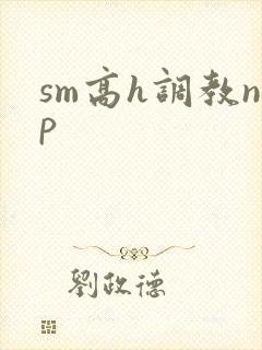 sm高h调教np