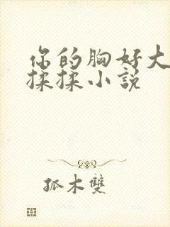 你的胸好大让我揉揉小说