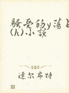 骚受的y荡日记(h)小说封面