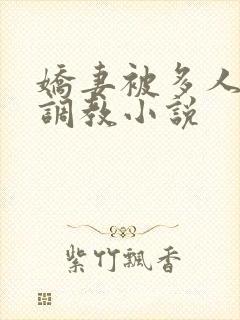 娇妻被多人辱骂调教小说封面