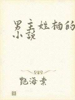 男主姓柏的总裁小说封面