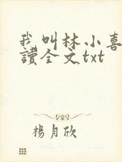 我叫林小喜全阅读全文txt