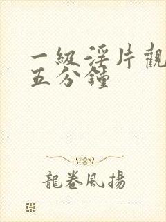 一级淫片观看十五分钟