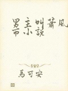 男主叫萧风的都市小说封面