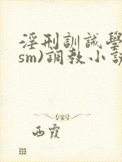 淫刑训诫学校(sm)调教小说封面