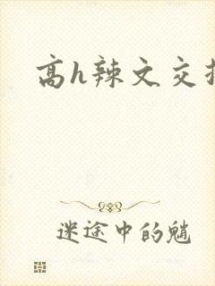高h辣文交换