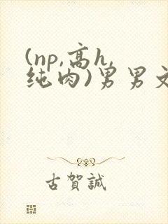 (np,高h,纯肉)男男文