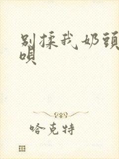 别揉我奶头嗯呢呗