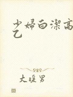 少妇白洁高义王乙