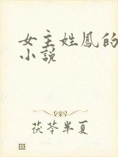 女主姓凤的穿越小说