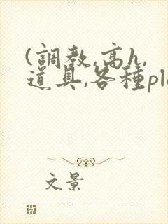 (调教,高h,道具,各种play)文