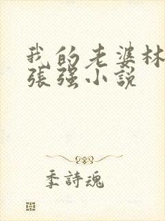 我的老婆林慧茹张强小说封面