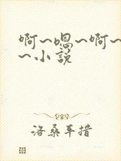 啊~嗯~啊~啊~小说封面