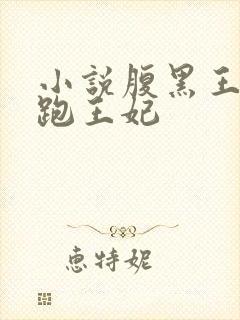 小说腹黑王爷逃跑王妃