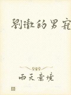 刘彻的男宠封面