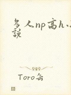 多人np高h小说