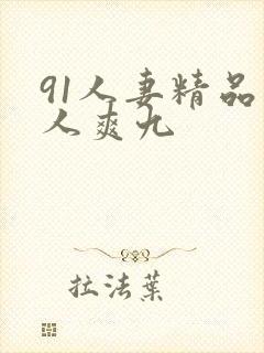 91人妻精品人人爽九