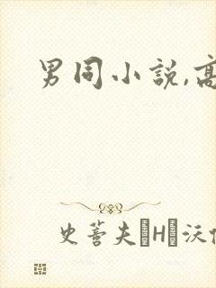 男同小说,高h