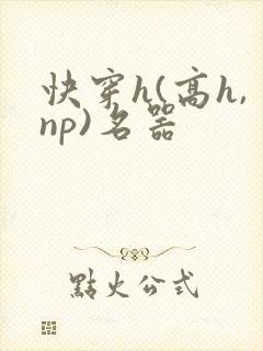 快穿h(高h,np)名器封面