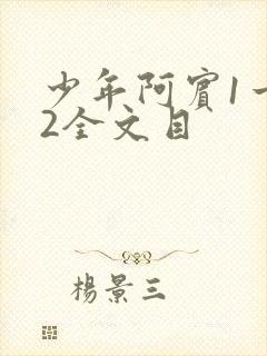 少年阿宾1一72全文目