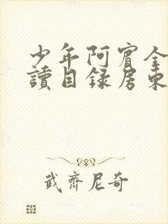 少年阿宾全文阅读目录房东