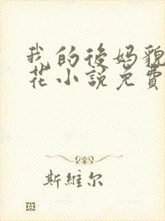 我的后妈貌美如花小说免费阅读