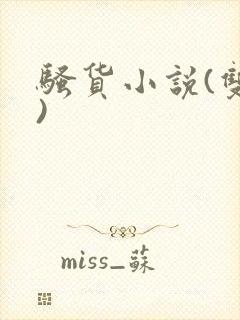 骚货小说(双性)