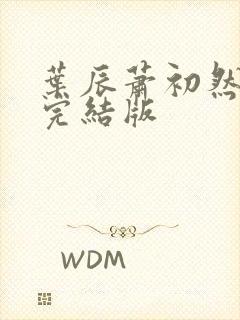 叶辰萧初然更新完结版