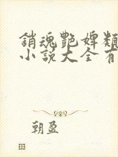 销魂艳婢类似的小说大全有哪些