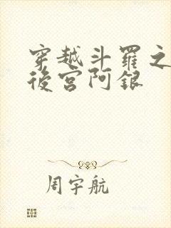 穿越斗罗之风流后宫阿银