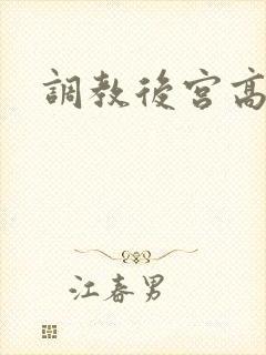 调教后宫高h文封面