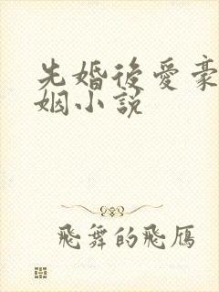 先婚后爱豪门联姻小说