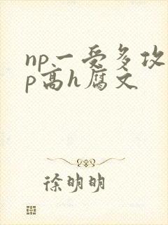 np一受多攻np高h腐文