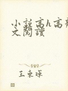 小说高h高辣全文阅读