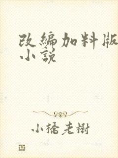 改编加料版同人小说封面